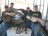 (04/11/2014) - Nice Striped Bass